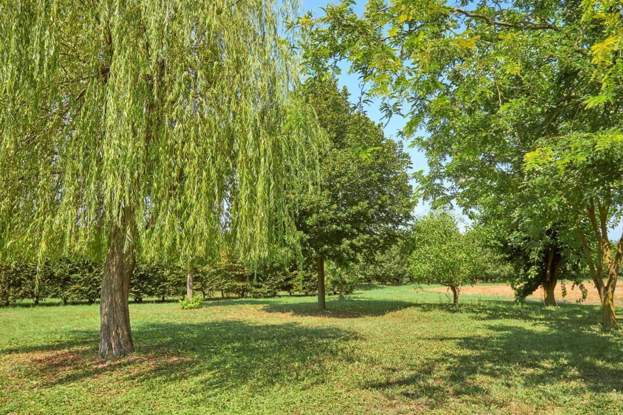 Agriturismo Forzello Ariano nel Polesine Buitenkant foto